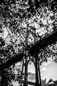 Low angle view of silhouette trees against sky