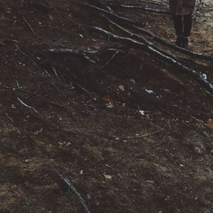 View of people in the dark