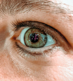 Close-up of human green eye with reflexes 