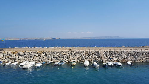 Flock of birds on sea against clear blue sky