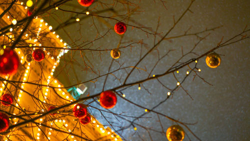 Christmas tree at night