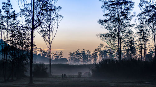 Silhouette of grazing on landscape against sky