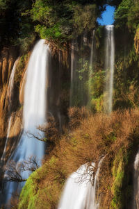 Scenic view of waterfall in forest