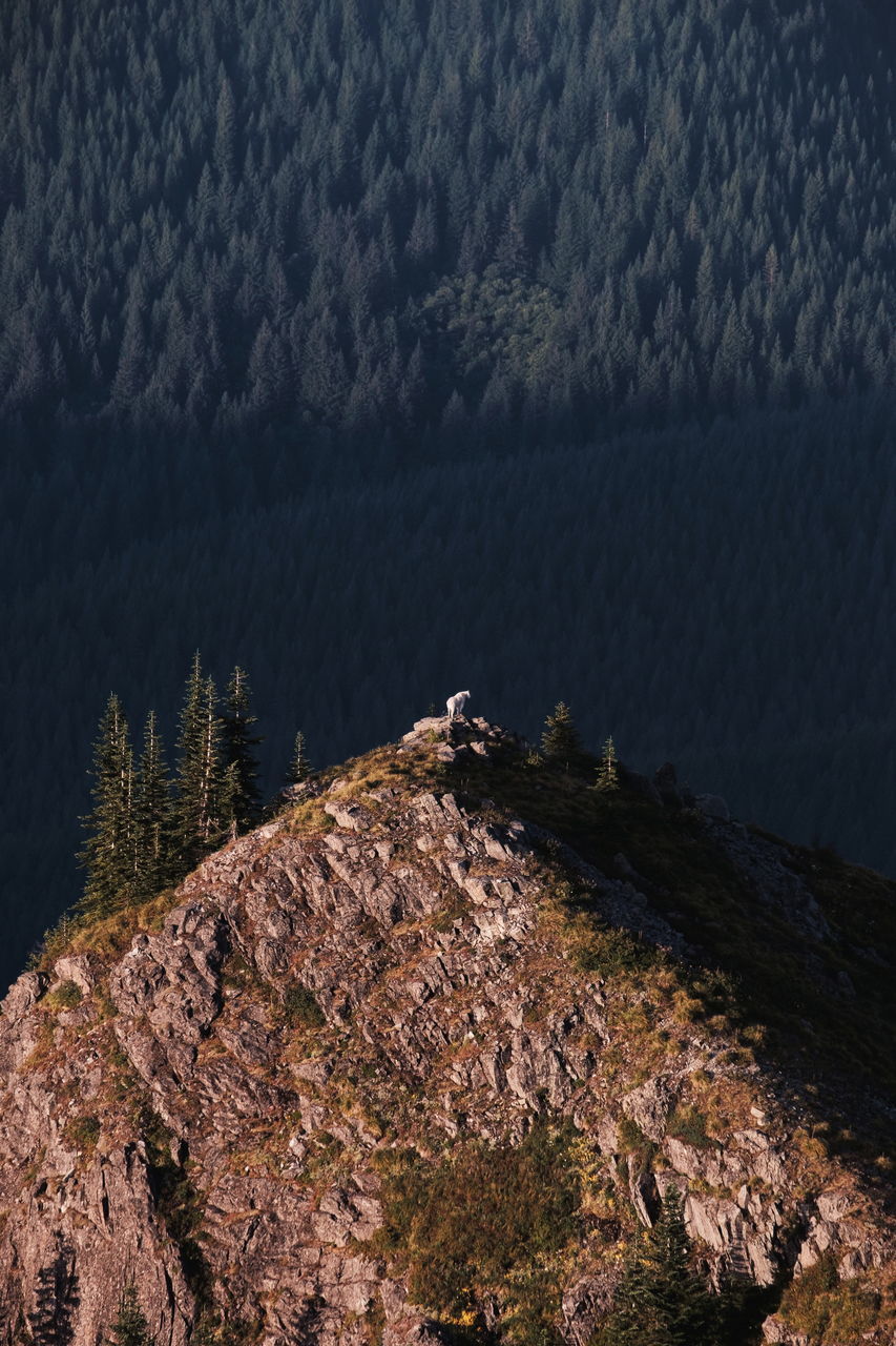 mountain, tranquil scene, tranquility, tree, beauty in nature, nature, scenics - nature, no people, rock, plant, day, water, rock - object, solid, outdoors, non-urban scene, lake, environment, idyllic, mountain peak