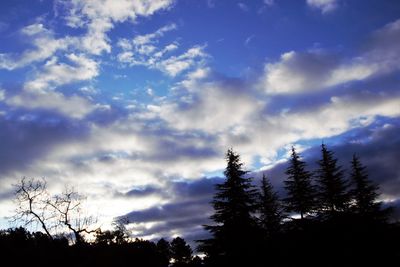 Low angle view of silhouette trees against sky