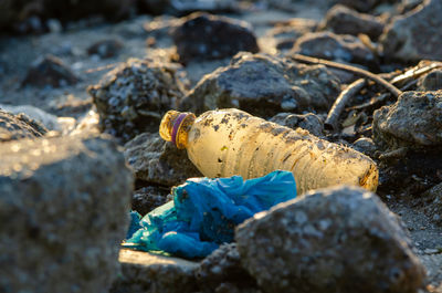 Close-up of garbage on rock