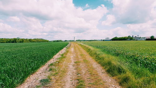 Scenic view of agricultural field against sky