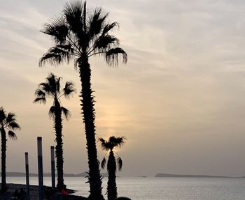 Silhouette palm tree by sea against sky during sunset