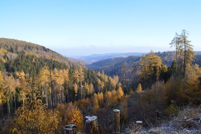 Scenic view of landscape against sky during autumn