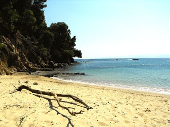 Scenic view of sea against clear sky