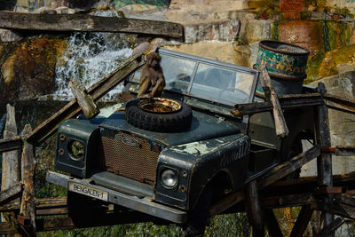 Old abandoned car