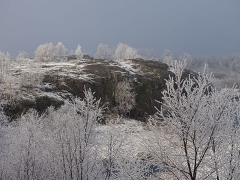 Scenic view of snow covered land against sky