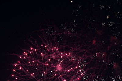 Low angle view of firework display at night