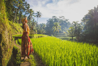 Young woman at rice terrace