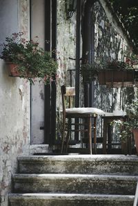 Flower plants against building