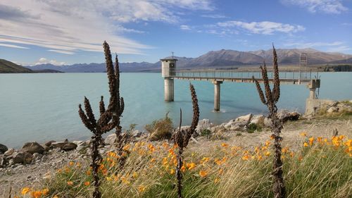 Scenic view of wooden posts in sea against sky