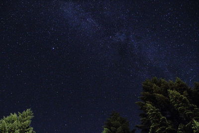 Low angle view of starry sky