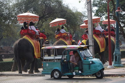 People riding on elephants