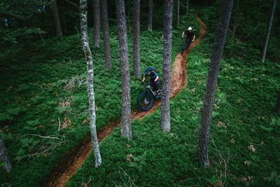 Aerial view of mountain biker in lush green forest, klagenfurt, austria.