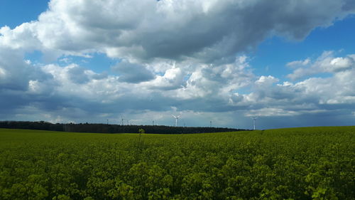 Scenic view of agricultural field against sky