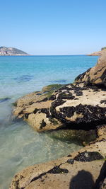 Scenic view of sea against clear sky