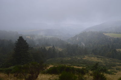 Scenic view of landscape against sky