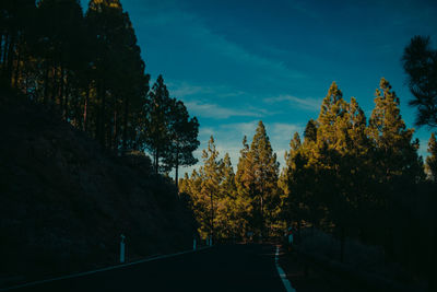 Road amidst trees against sky during autumn