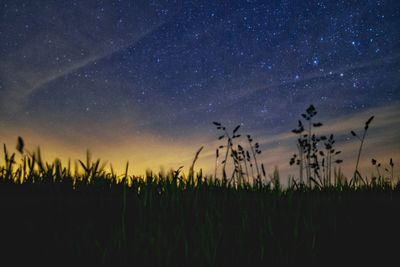 Scenic view of field against sky at night