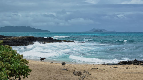 Scenic view of beach against sky