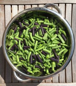 High angle view of vegetables in basket