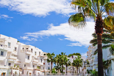 Low angle view of palm trees and buildings against sky