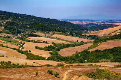 Scenic view of agricultural field against sky