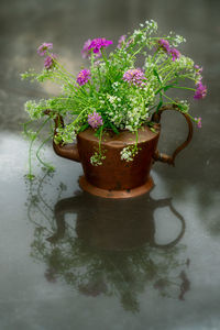 Close-up of potted plant on table