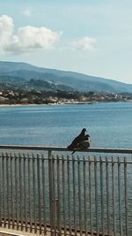 Bird perching on railing by sea against sky