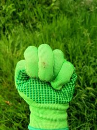 The green handshoe