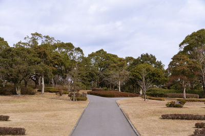 Empty road amidst trees in park against sky