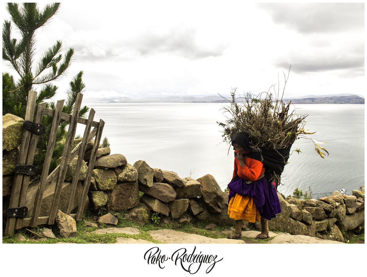 REAR VIEW OF MAN STANDING AGAINST SEA AND SKY