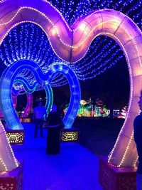 Illuminated ferris wheel at night