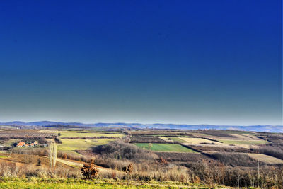 Scenic view of field against clear blue sky