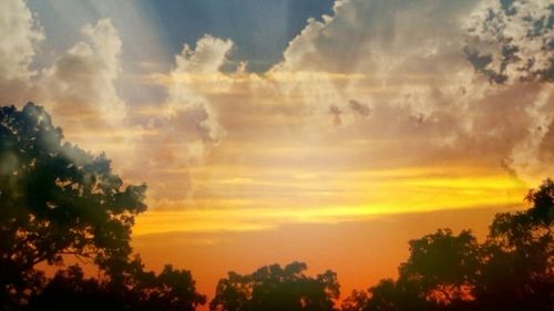 Silhouette of trees against dramatic sky