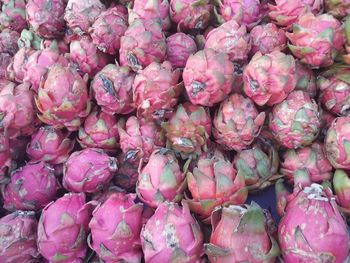 Full frame shot of pink dragon fruit in market