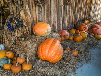 High angle view of pumpkins on table