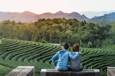 Rear view of couple sitting on mountain against trees