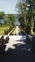 Road amidst trees against sky