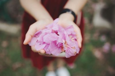 Close-up of hand holding pink flower