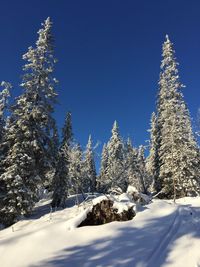 Scenic view of snow covered landscape
