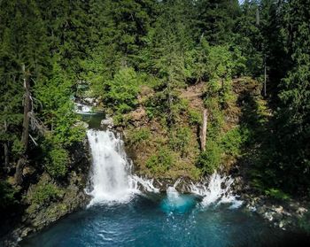 Scenic view of waterfall in forest