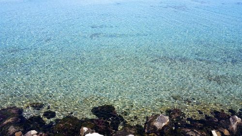 High angle view of sea shore