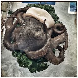 Close-up of elephant