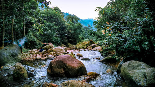 Stream flowing through rocks in forest